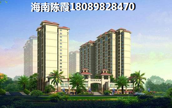 盐金枣正宗上海