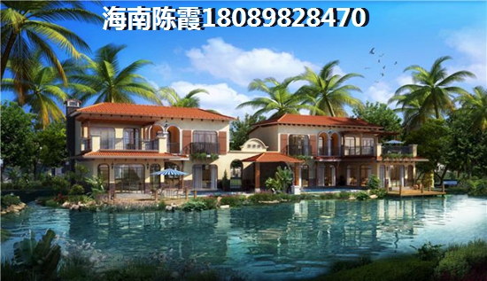 金湾区好吃又健康的街头美食有哪些（金湾区附近）