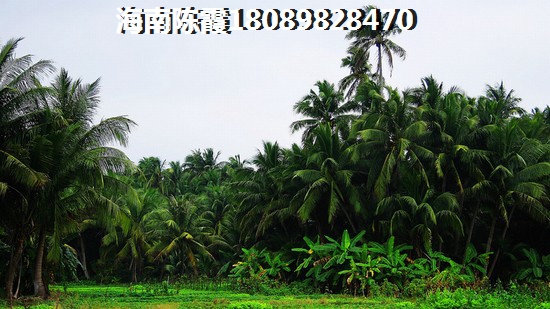 凤城山庄哪里好玩