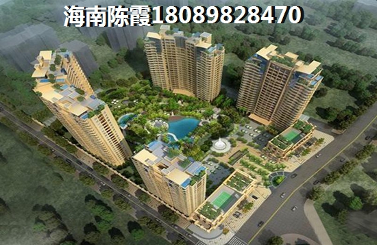 陵水的房子纸不纸得购买？