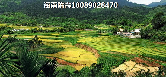 泰州高港房子有生纸机会吗?
