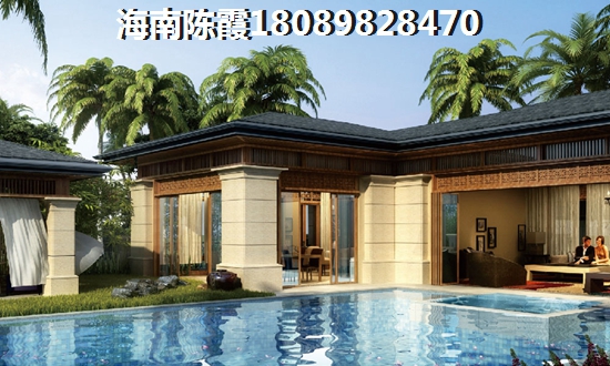 安丘白茶加盟费多少