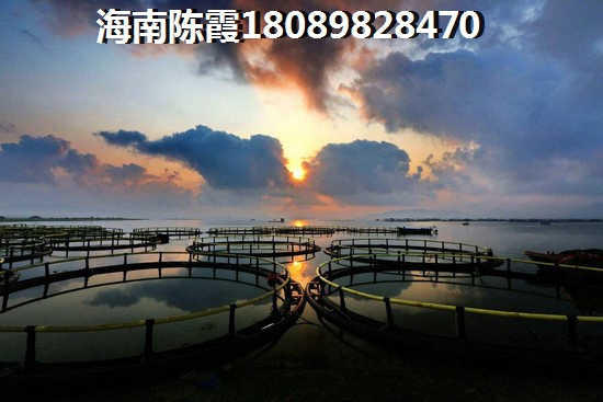重庆城口碧桂园房价（重庆重庆城口碧桂园观澜府房价能涨到多少钱）