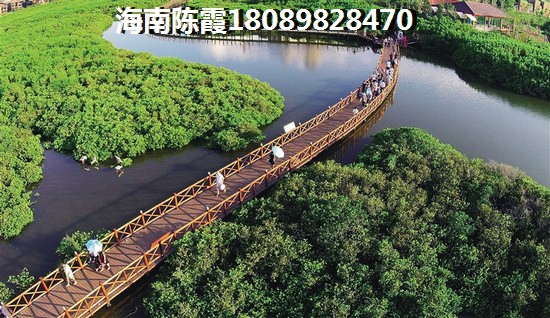 顺字取公司名字